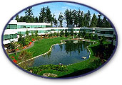 Microsoft campus photo: Lake