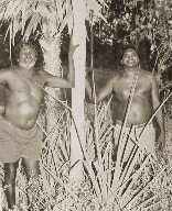 Wuyall (left) and Dhukal Wirrpanda showing the pandanus "spear"