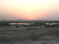 Sunrise illuminates a pond in Iraq presenting bird sighting possibilities