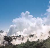 Steam across Whakarewarewa Valley