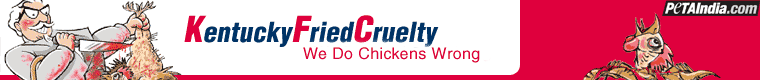 kentucky fried chicken cruelty