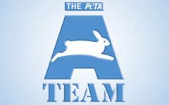 Make Animal Rights a Hot Topic by Joining PETA's A-Team!
