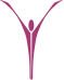 CMGS Logo