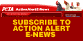 Subscribe to Action Alert E-News
