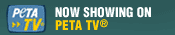 Now Showing on PETA TV
