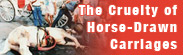 The Cruelty of Horse-Drawn Carriages