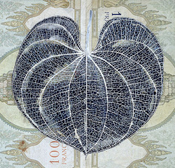 image: detail: Fiona Hall Leaf litter: Dioscored esculenta - air potato 2000-03, gouache on international currency, Collection of the National Gallery Purchased 2003