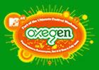 Oxegen 2006