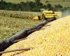 Brazils agriculture is forecasted to expand 40% in the next ten years 