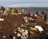 Falklands Conservation staff and volunteers plant tussac
