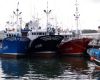 Over seventy foreign flagged fishing vessels operate from Montevideo 