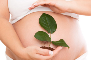 Bewährte Heilpflanzen rund um Schwangerschaft und Geburt