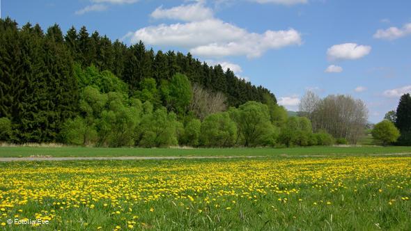 Frühling im Westerwald.
Bild: Fotolia/ Eve # 5231903