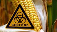 corn stock and GENFOOD sign 