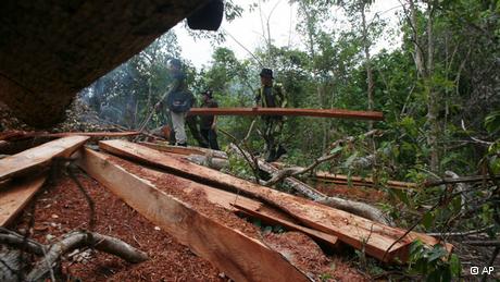 Rangers confiscate woods after a raid at an illegal logging site at Seulawah mountains, Aceh Besar, Aceh province, Indonesia, Thursday, May 14, 2009. Around 300 football fields of trees in Indonesia are destroyed every hour due to illegal logging, mining and slash-and-burn land clearing for highly profitable palm oil plantations, which would be making the country a major contributor to global warming. (ddp images/AP Photo/Heri Juanda)
+++ AP +++