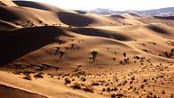 Sand dunes in the Namib desert in Namibia