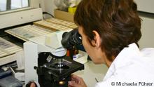 Peering over malaria researcher Irish Bruchhaus’ shoulder as she looks through a microscope 