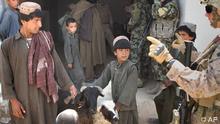 حدود 30 درصد جوانان افغانستان را جوانان تشکیل می دهند. 
