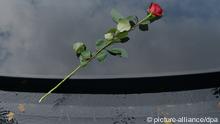Auf der Wasseroberfläche des Denkmals für die im Nationalsozialismus ermordeten Sinti und Roma liegt am 24.10.12 in Berlin eine rote Rose. Unten ist der Schriftzug Atem zulesen. Knapp 70 Jahre nach Kriegsende wurde am Mittwoch in Berlin das Denkmal für die 500.000 von den Nazis ermordeten Sinti und Roma eingeweiht. Foto: Rainer Jensen/dpa +++(c) dpa - Bildfunk+++
