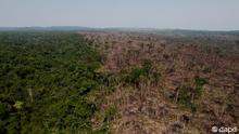 Ein durch eine illegale Brandrodung zerstörtes Waldstück in Nordbrasilien (Foto: ddp images/AP/Andre Penner)