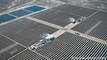 Eine riesige Solaranlage im kalifornischen Cramer Junction (Foto: dpa)