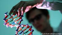 Hand holding a DNA chain (photo via dpa)
