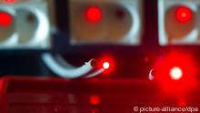 Fiber optic cabling (Photo: Jens Büttner dpa/lmv +++(c) dpa)
