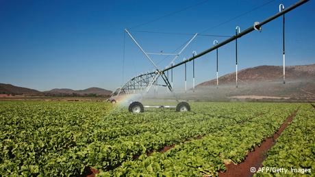 A field with crops is watered by an irrigation system (photo: AFP/Getty Images)